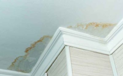 What are the Signs of a Hidden Water Leak?