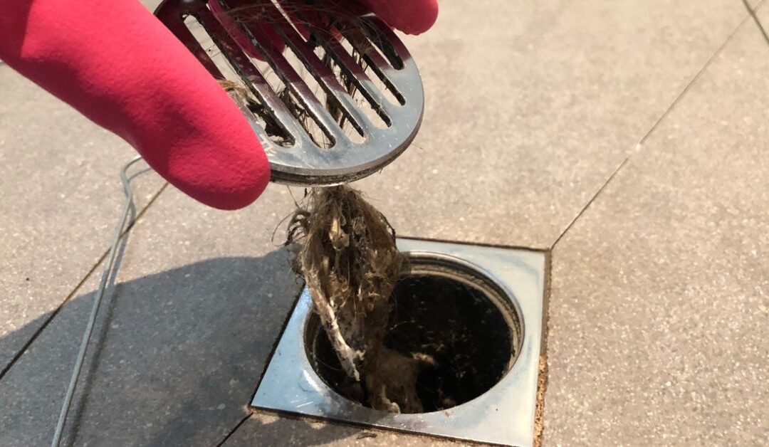 Plumber clearing a drain clogged with hair and debris